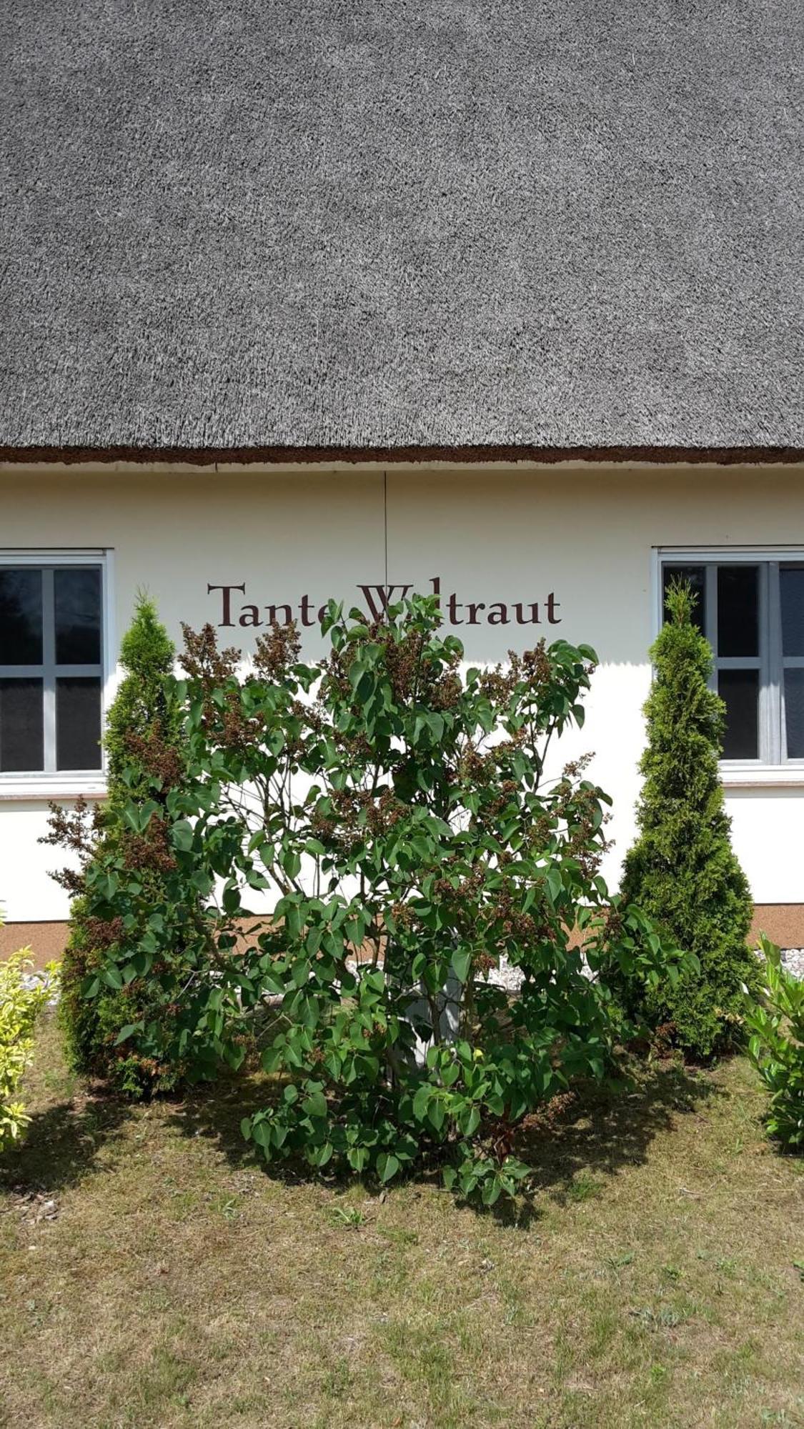 Haeuschen "Tante Waltraut" Villa Garz  Dış mekan fotoğraf